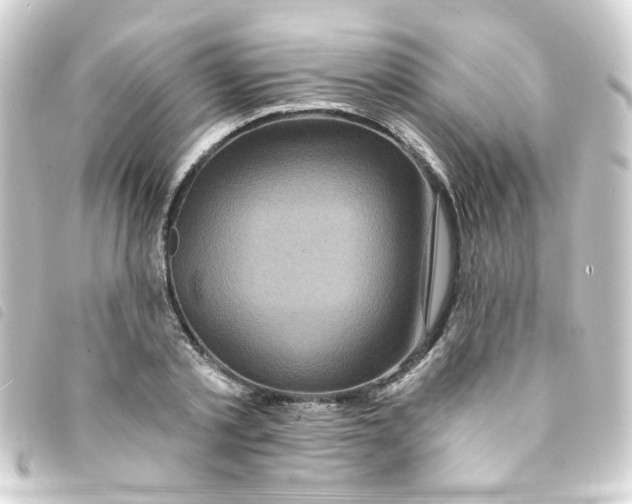 X0000093250789200710241313