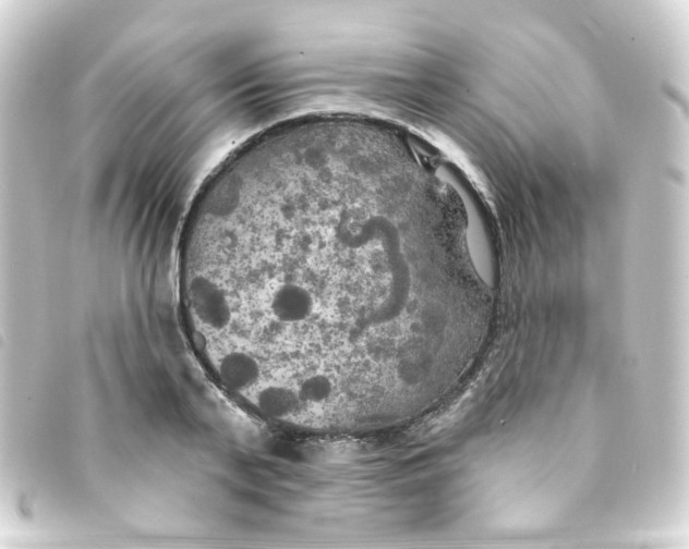 X0000093250791200710241313