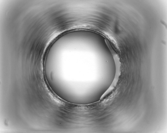 X0000093250792200710241313