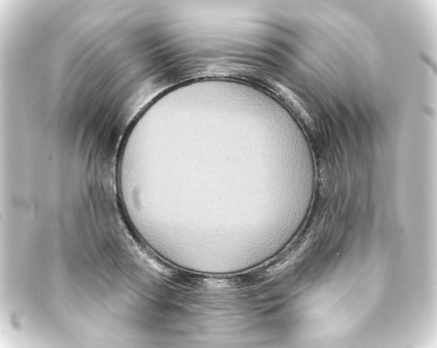 X0000093250794200710241313