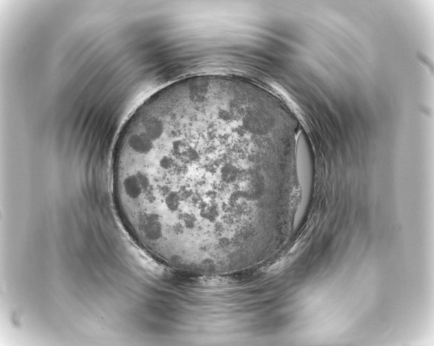 X0000093250795200710241313