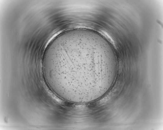 X0000093250798200710241313