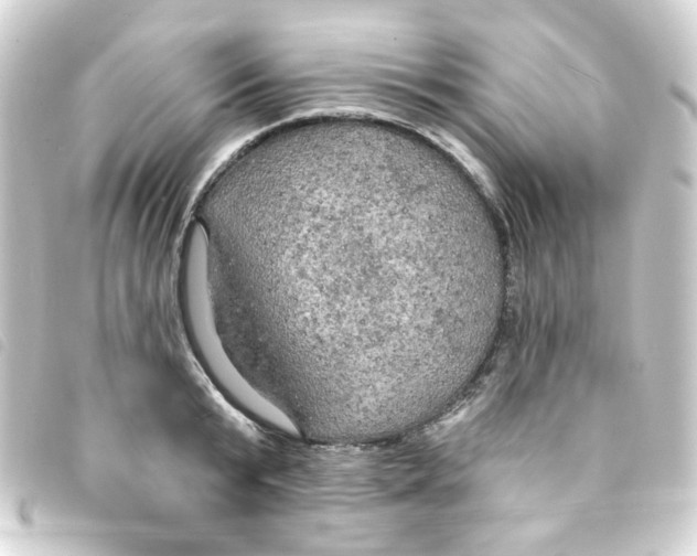 X0000093250799200710241313