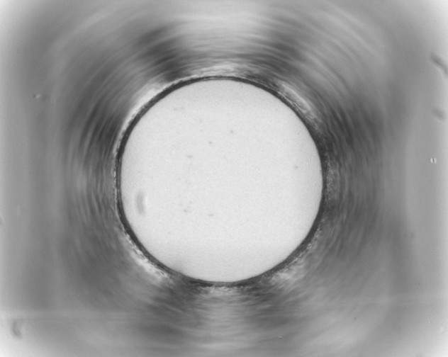 X0000093250800200710241313