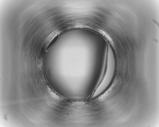 X0000093250801200710241313