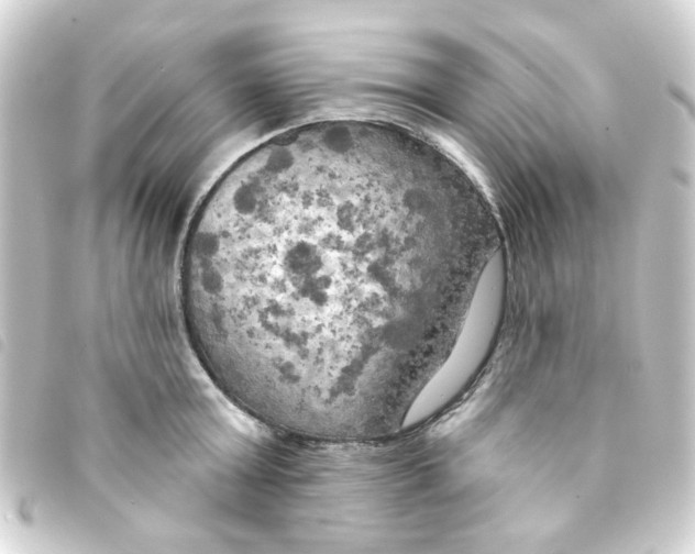 X0000093250803200710241313