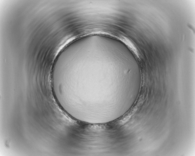 X0000093250806200710241313