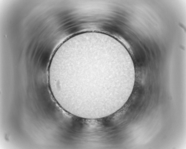 X0000093250807200710241313