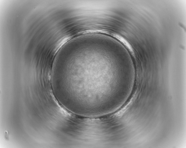 X0000093250809200710241313