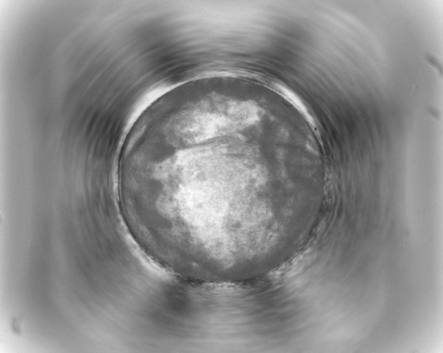 X0000093250811200710241313