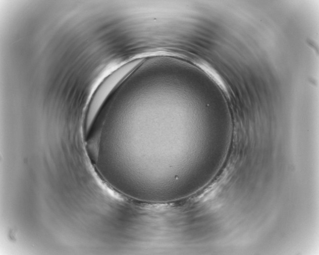 X0000093250813200710241313