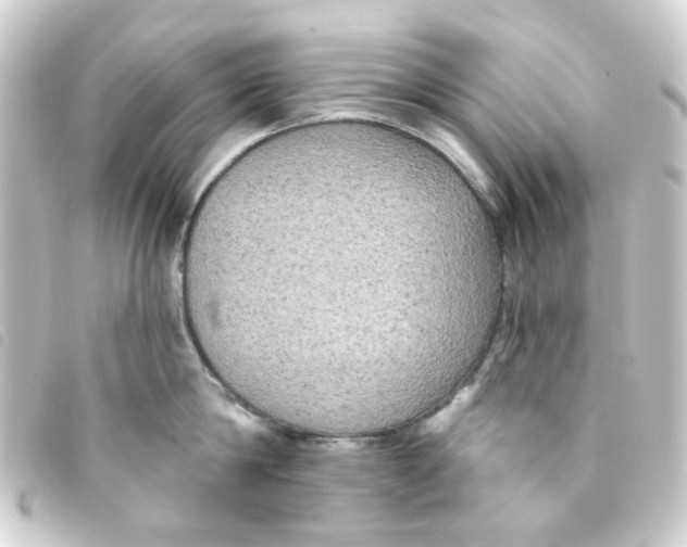 X0000093250814200710241313