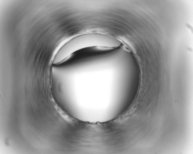 X0000093250816200710241313