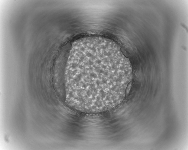 X0000093250817200710241312