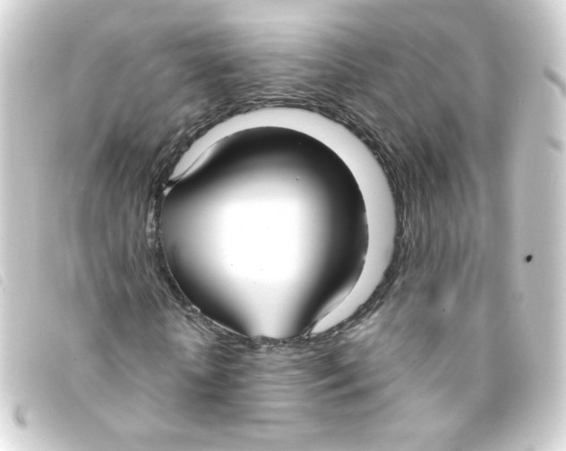 X0000093250818200710241312