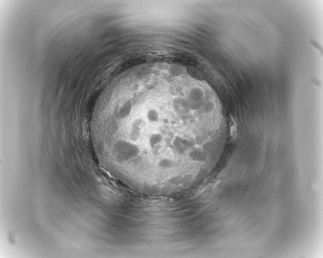 X0000093250819200710241312