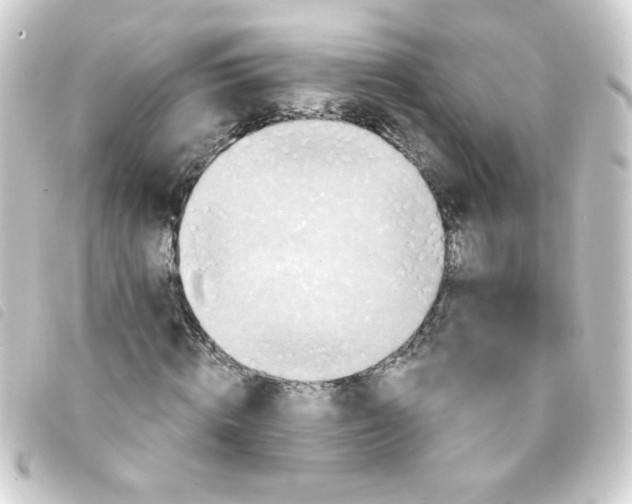 X0000093250820200710241312