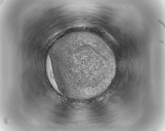 X0000093250821200710241312