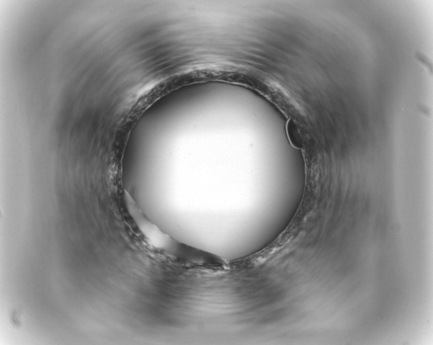 X0000093250822200710241312