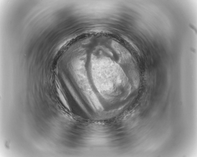 X0000093250823200710241312