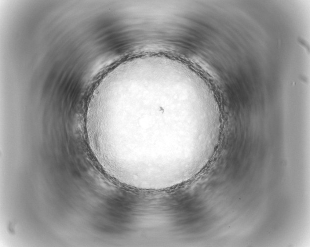 X0000093250824200710241312