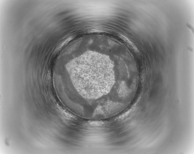 X0000093250825200710241312