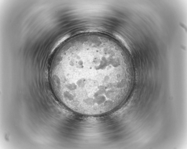 X0000093250827200710241312