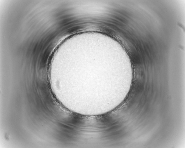 X0000093250828200710241313