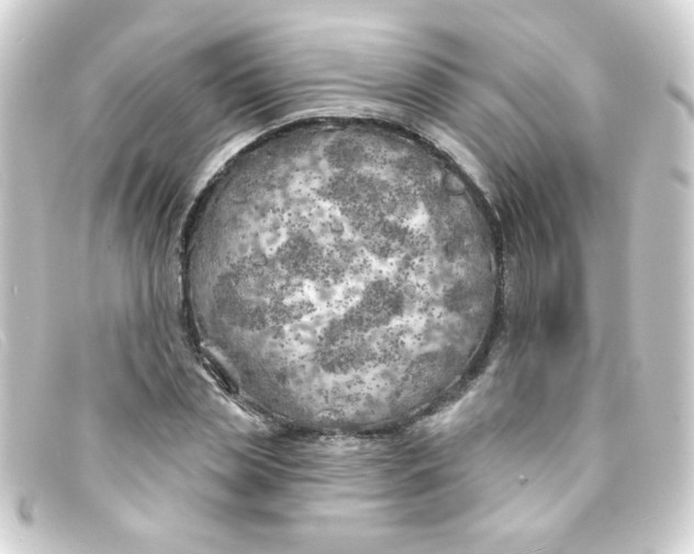 X0000093250829200710241313