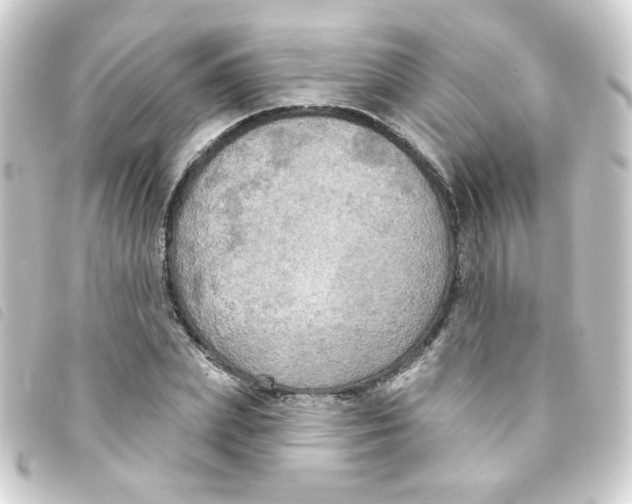 X0000093250831200710241313