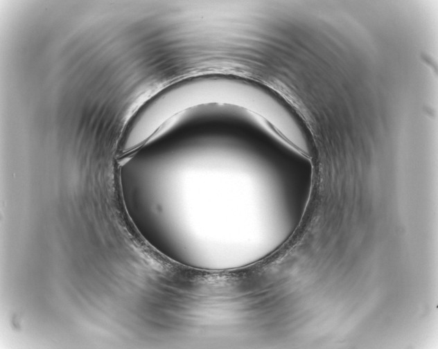 X0000093250834200710241313