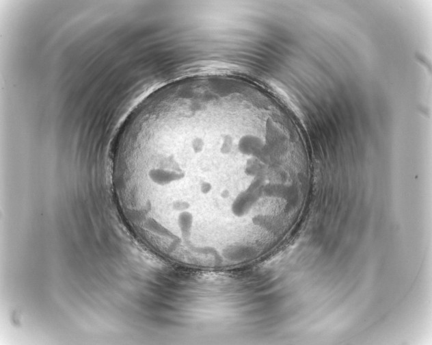 X0000093250835200710241313