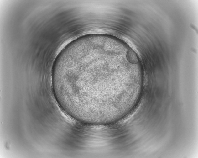 X0000093250837200710241313