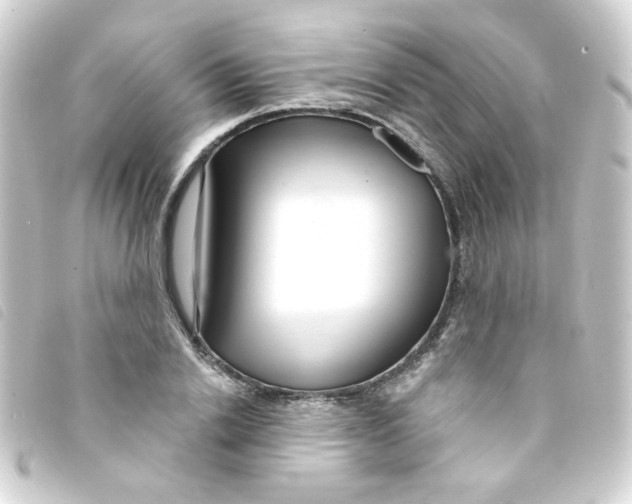 X0000093250838200710241313