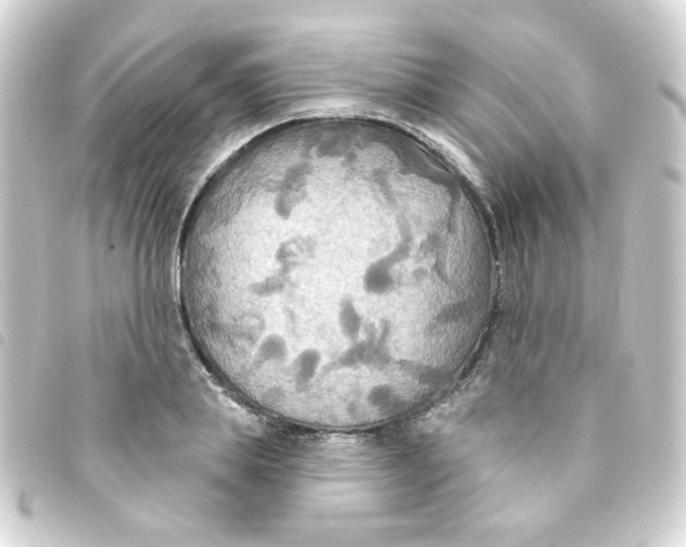 X0000093250839200710241313