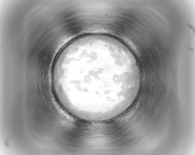 X0000093250840200710241313