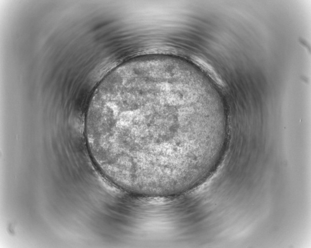 X0000093250841200710241313