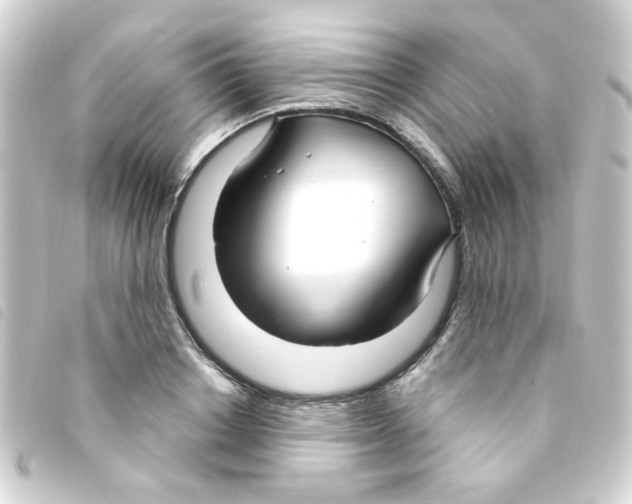 X0000093250842200710241313