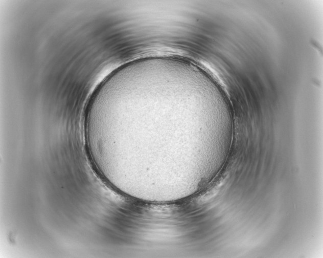 X0000093250843200710241313