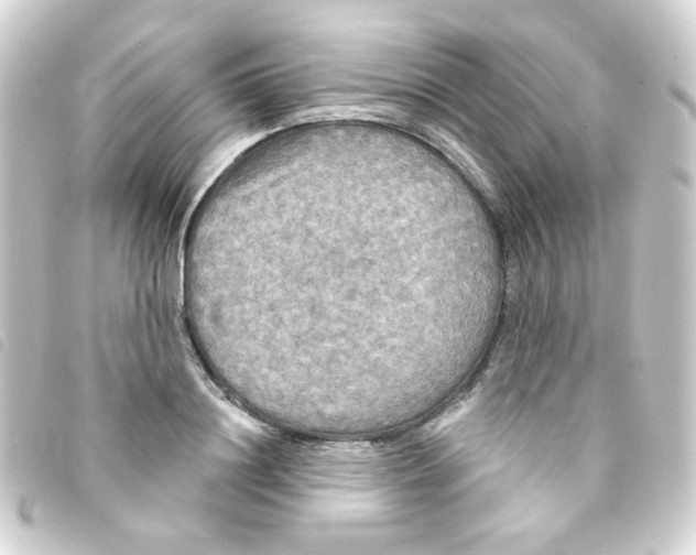 X0000093250844200710241313