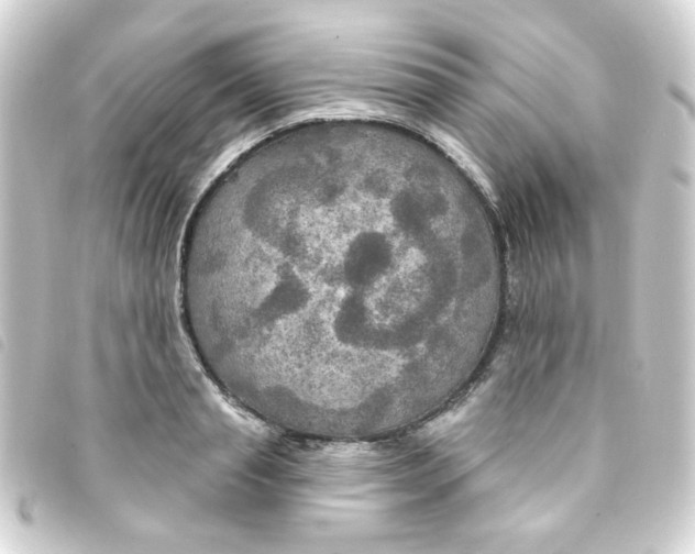 X0000093250845200710241313