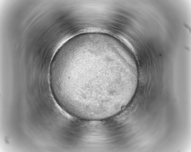 X0000093250847200710241313