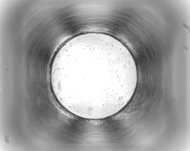 X0000093250848200710241313