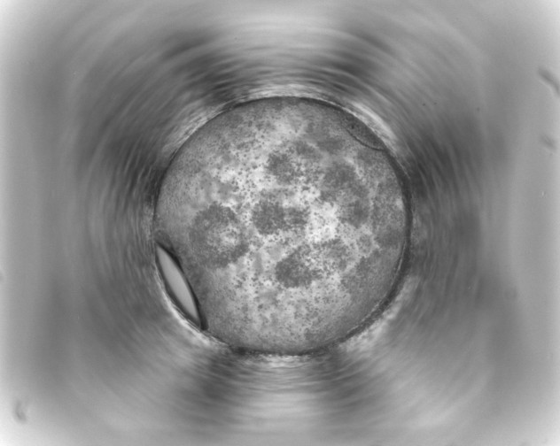 X0000093250849200710241313