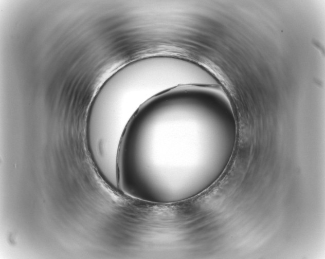 X0000093250850200710241313