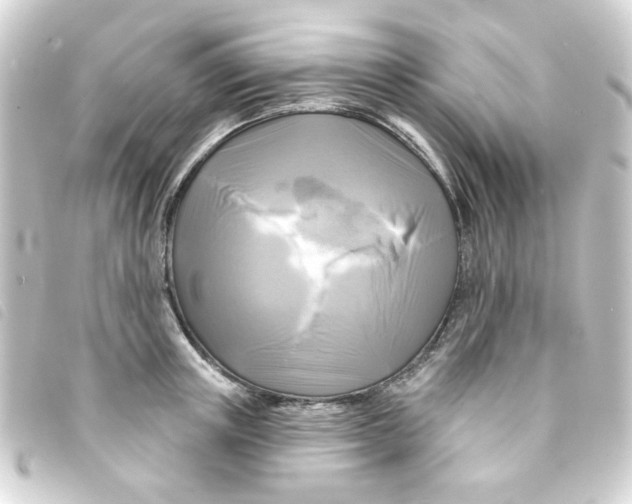 X0000093250851200710241313