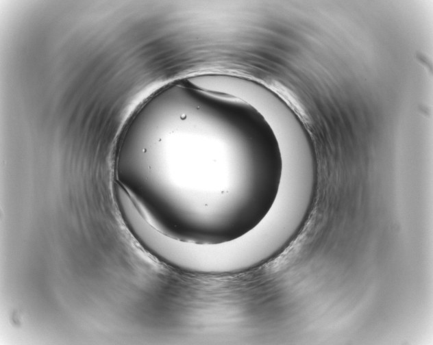 X0000093250854200710241313