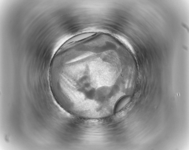 X0000093250855200710241313