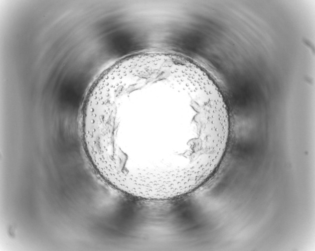 X0000093250856200710241313