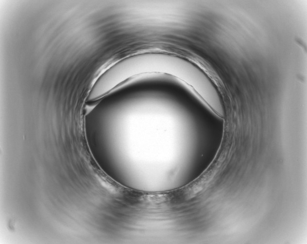 X0000093250858200710241313